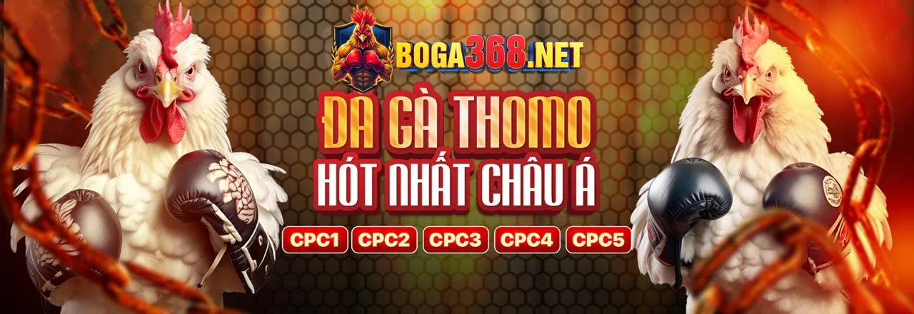Đá gà trực tuyến i9bet100 với khuyến mãi 2026