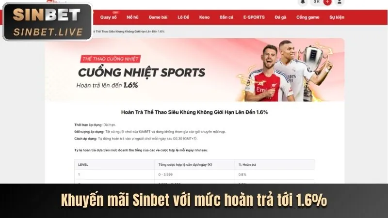 Hoàn trả cược thể thao hàng tuần hoặc hàng tháng tại i9bet100
